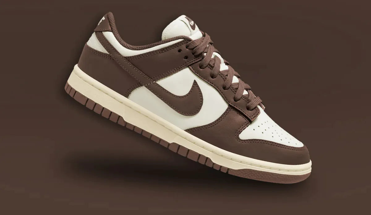 Dunk Low Sail and Brown